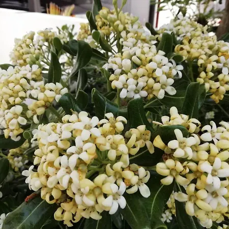 Casa Di'elen Casa de Férias