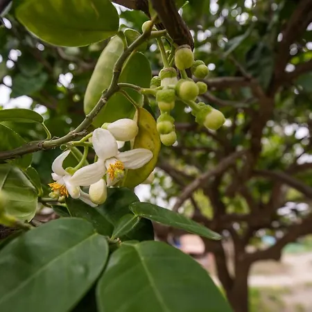 بيت للعطل Casa Di'elen *