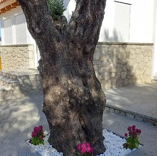 بيت للعطل Casa Di'elen *