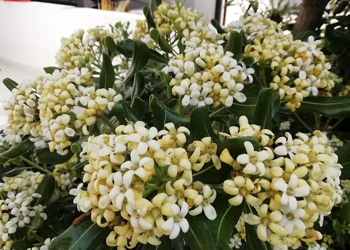 Casa Di'elen بيت للعطل